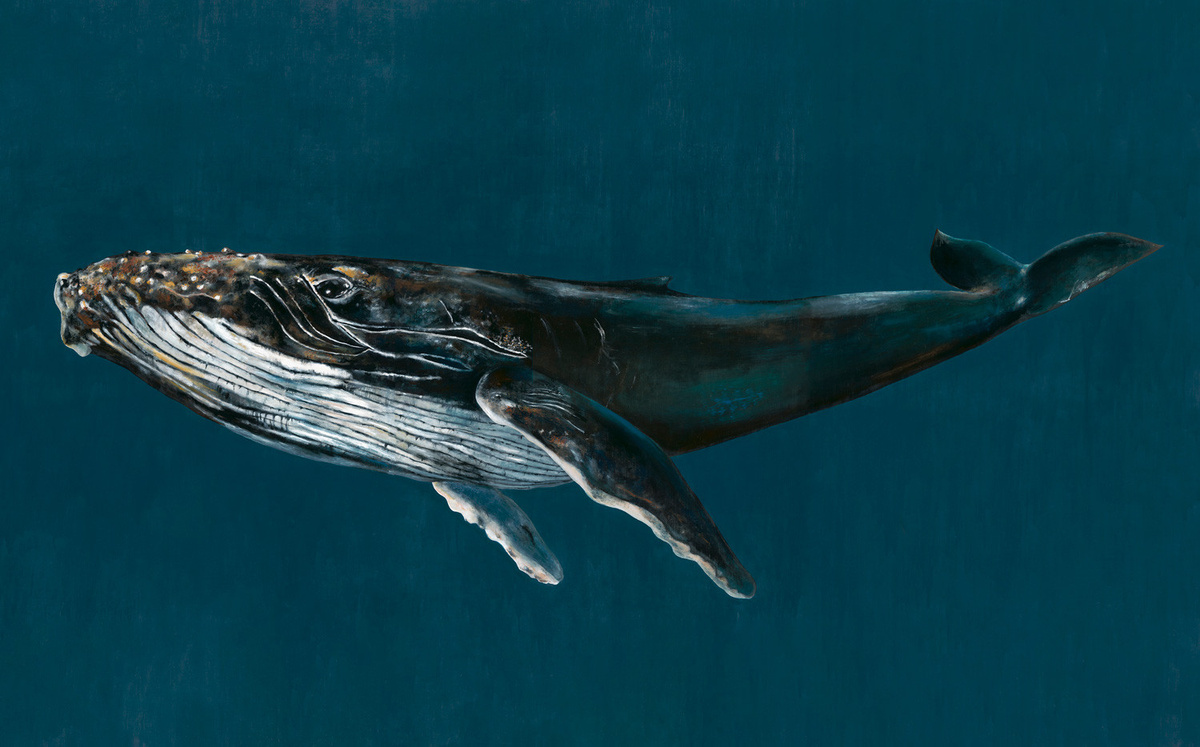 Coordonne Wandbehang Humpback Whale Ocean mit Blauem Wal-Motiv aus Textil - Bild 1