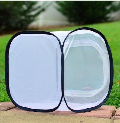 Binchi Outdoor Product Schmetterlings-Gottesanbeterin Zuchtbox, blau - Bild 1
