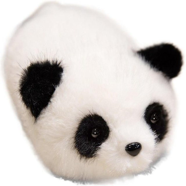 Binchi Fitness Kleines Tier Capybara Panda Pinguin Elefant Kaninchen, Plüsch / Textil, ab 3 Jahre - Bild 1