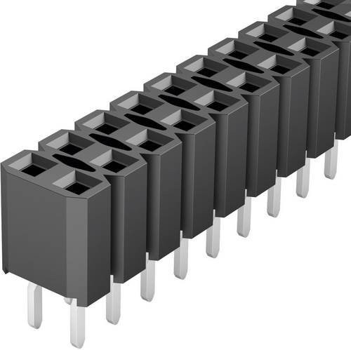 Fischer Elektronik Buchsenleiste Standard Schwarz mit 2 Reihen und 36 Polzahl je Reihe - Bild 1