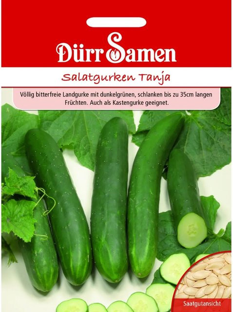 Dürr Salatgurken Tanja Saatgut 50 g - Bild 1
