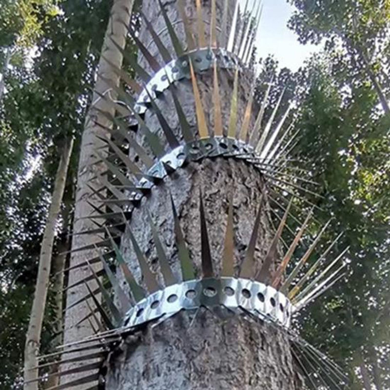 Amusedly Anti-Ratten-Spikes aus Edelstahl zur Vogelabwehr in Silber inklusive Kabelbindern - Bild 7
