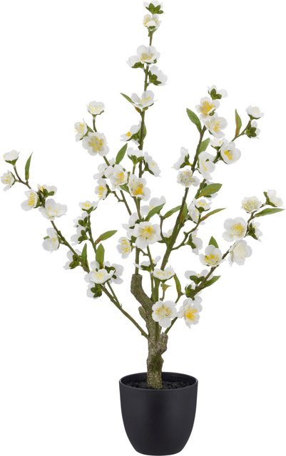 GASPER Kunstpflanze Kirschblüte in Weiß, Topfpflanze aus Kunststoff - Bild 1