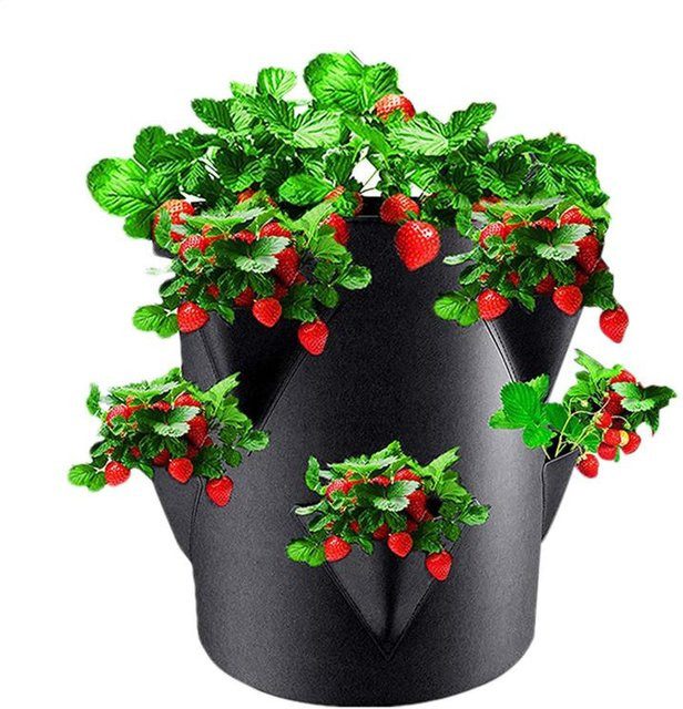 Verdickter Erdbeer-Pflanzbeutel aus Vliesstoff in Schwarz mit 6-seitiger Tasche für den Garten, B/T/H: 35,0 x 30,0 x 30,0 cm - Bild 1