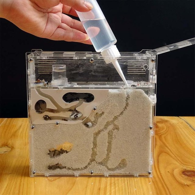 Otmagelu Ameisenfabrik Ameisenhaus, Insekten Terrarium, Natur, Kunststoff, Weiß - Bild 1