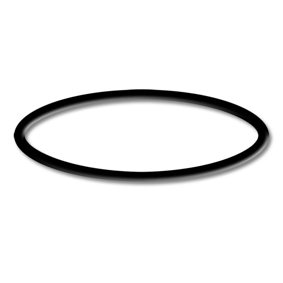 Sunsun O-Ring in Schwarz für 550W Schwimmbadpumpen und Poolfilteranlagen - Bild 2