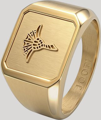 Joop! Siegelring Edelstahl, Gold, Herren - Bild 1