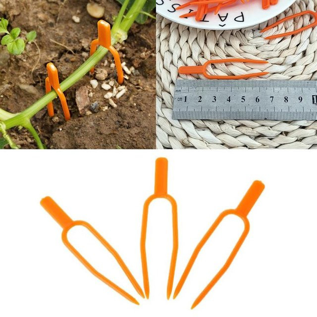 Houspace Pflanzenklammern aus Kunststoff für den Gemüsegarten, 50 Stück, Grau und Orange - Bild 1
