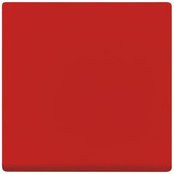 Busch-Jaeger Einteilige Wippe in Rot flush - Bild 1