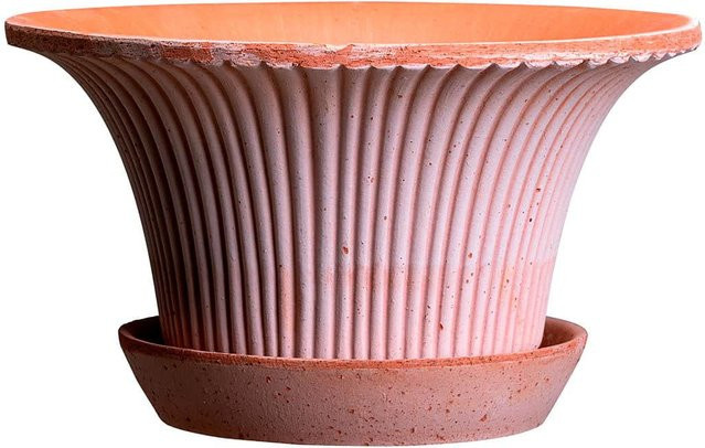 Bergs Potter Blumentopf Daisy Raw Pot mit Untersetzer in Rosa, Durchmesser: 25 cm - Bild 1