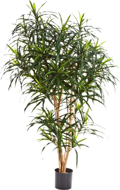 Künstlicher Drachenbaum Helmut von Aplanta, Höhe: 120 cm - Bild 1