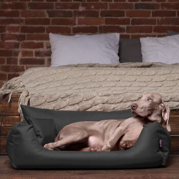 Tierlando NEMO Hundebett Hundesofa in Schwarz/Graphit mit abnehmbarem Bezug und erhöhten Rändern, B/T/H: 65 x 80 x 20 cm - Bild 3