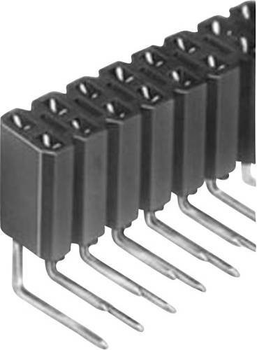Fischer Elektronik Buchsenleiste Standard in Schwarz mit 2 Reihen und je 10 Polzahlen - Bild 1