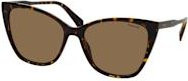 Polaroid PLD 4181/S Sonnenbrille Cat Eye, braun, Vollrand, Damen, Kunststoff - Bild 1