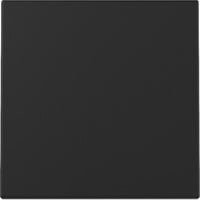 Gira Wippe einteilige Ausführung aus Kunststoff in Schwarz mit matter lackierter Oberfläche - Bild 1