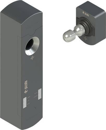Pizzato Elettrica Sicherheitsschalter NS H4ZZ1DMK-F41, Farbe: Grau, Betriebsspannung: 24 V/DC, B/H/T: 40 x 145,5 x 38,5 mm - Bild 1