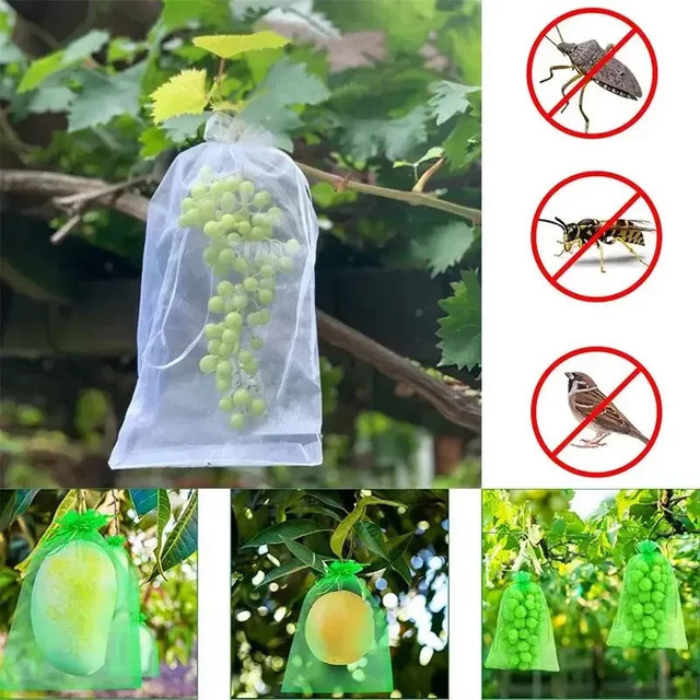 50 Organza-Schutzbeutel aus atmungsaktivem Mesh für Trauben, Erdbeeren und Sämlinge, Farbe: Weiß/Transparent - Bild 1