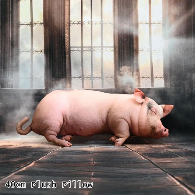 Yiran Health & Beauty Schwein Plüschtier, Tier-Körperkissen, Rosa / Pink - Bild 1