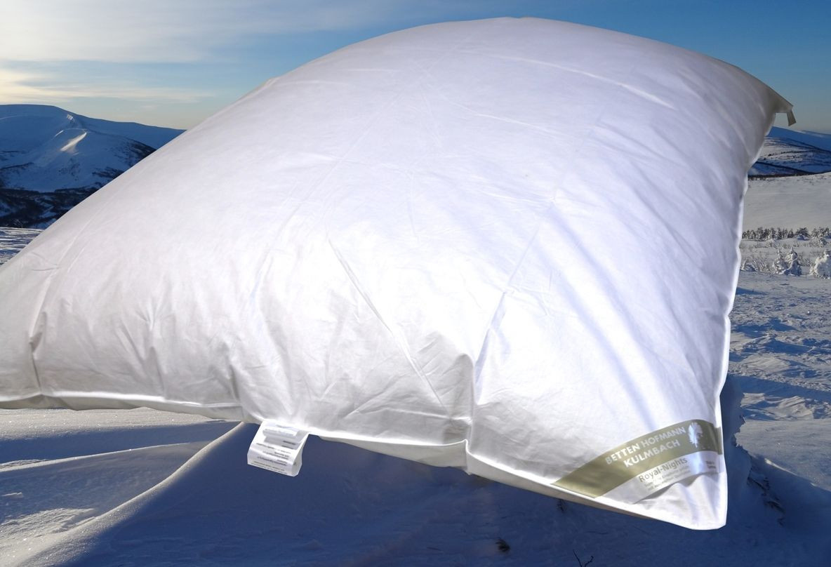 Betten Hofmann Ballonbett Federbett mit 30% Daunen in Weiß, B/T: 135 x 200 cm - Bild 1