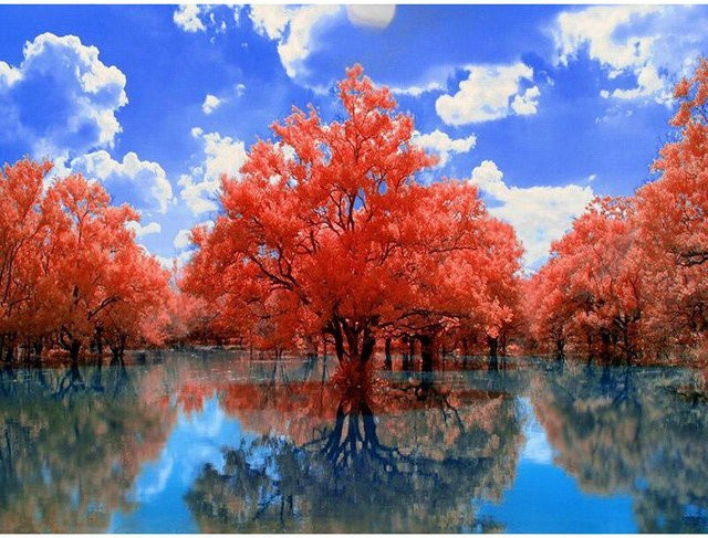 FIYO 5D DIY Diamantmalerei Set Roter Baum am See in Blau und Rot, Breite: 30 cm, Höhe: 20 cm - Bild 1