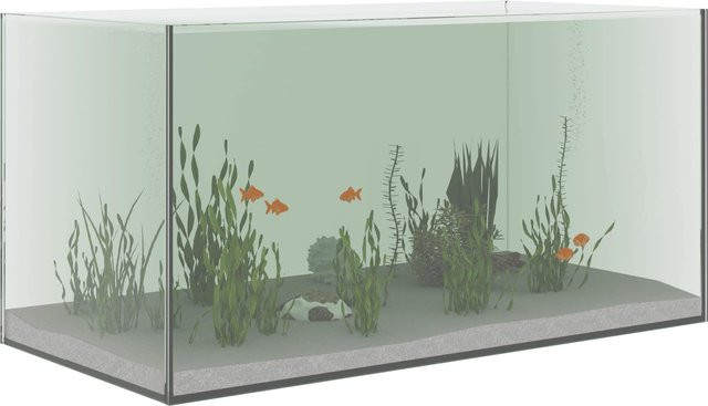 VD Home Furnishing Aquarium aus Glas mit Stauraum in Transparent, B/T/H: 60 x 30 x 30 cm - Bild 1