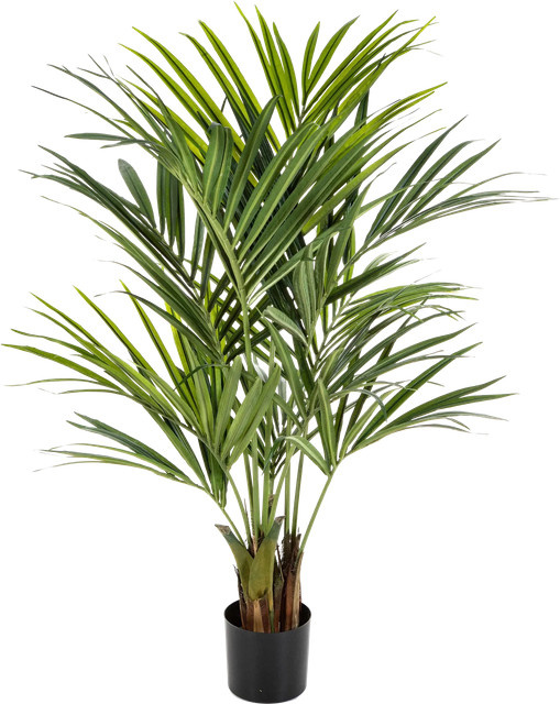 Künstliche Kentia Palme Cecilia von Aplanta, Höhe: 140 cm - Bild 1