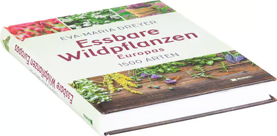 Essbare Wildpflanzen Europas von Eva-Maria Dreyer, gebundene Ausgabe - Bild 2