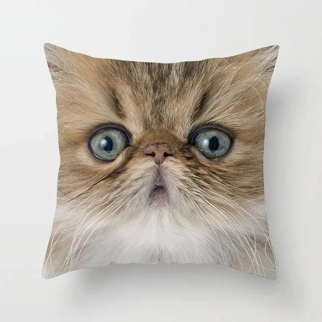 Sofakissenbezug mit Katzen-Print in Bordeaux, B/B: 66 x 66 cm - Bild 1