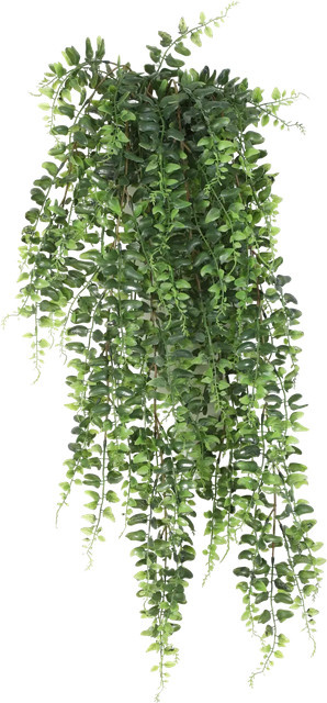 Künstlicher Schwertfarn Elisabeth von Aplanta, Grün, Höhe: 75 cm - Bild 1