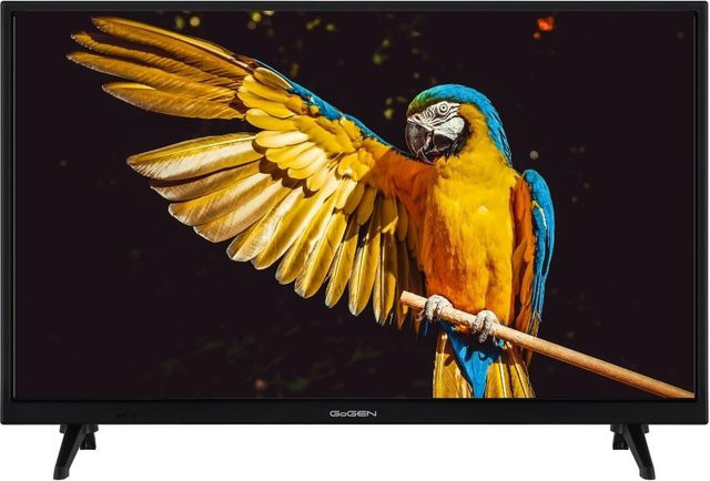 GoGen LED Fernseher TVH24A336 24 Zoll HD Ready in Schwarz - Bild 1