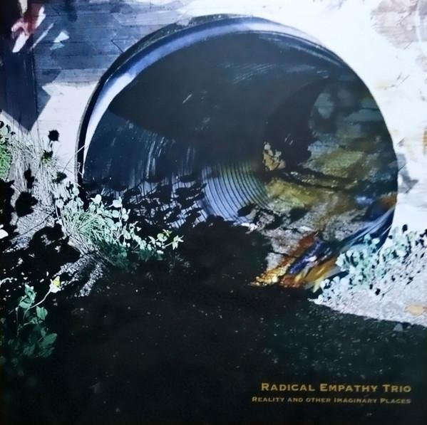 Radical Empathy Trio - Reality and Other Imaginary Places LP Schallplatte, Jazz, ESP-Disk', 2019, Grau/Mehrfarbig - Bild 1