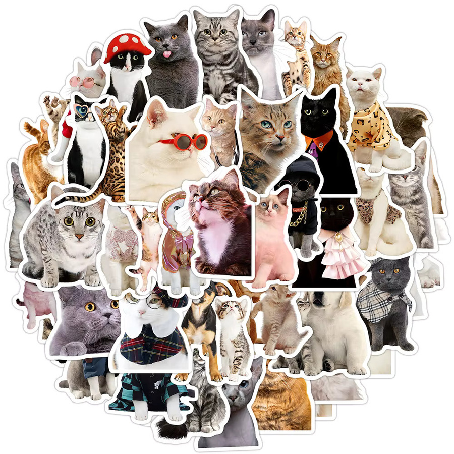 Charile Kawaii süße Katze Meme Aufkleber, Dekoration, multicolor - Bild 2