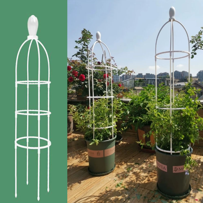 Garten Obelisk Spalier in Schwarz für Kletterpflanzen wie Rosen und Reben - Bild 2