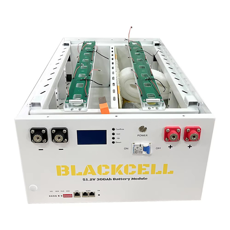 BLACKCELL DIY Batterie-Kit Heimenergiespeichersystem LiFePo4 16S 51,2V Metall-Leergehäuse - Bild 1
