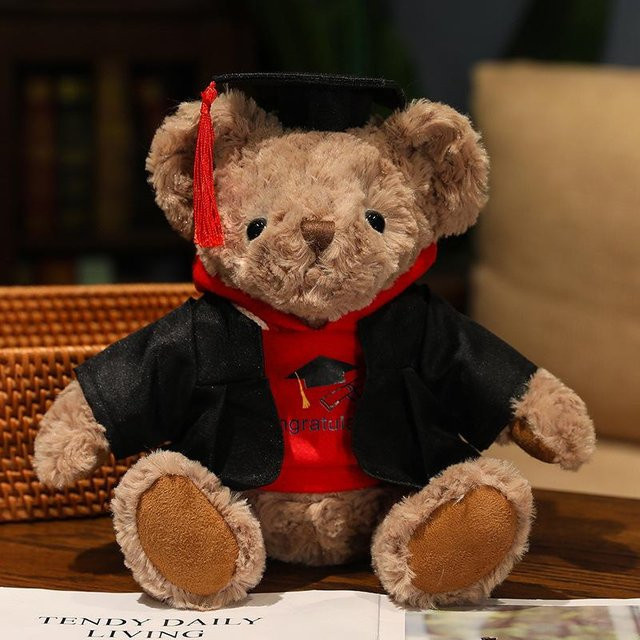 Yiran toy Hoodie Teddybär Abschluss Plüschtier, 26cm, ab 14 Jahren - Bild 1