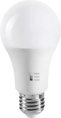 Nordlux Glühlampe E27 8W Weiß Durchmesser: 60 mm, Höhe: 108 mm - Bild 1