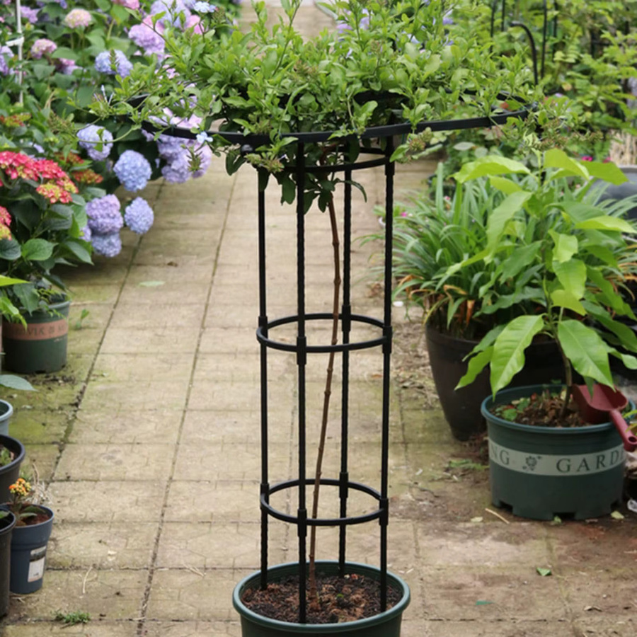 HiMISS Garten-Rundspalier aus Stahl als vertikale Kletterpflanzen-Stützstruktur und Schirmspalier-Turm - Bild 4