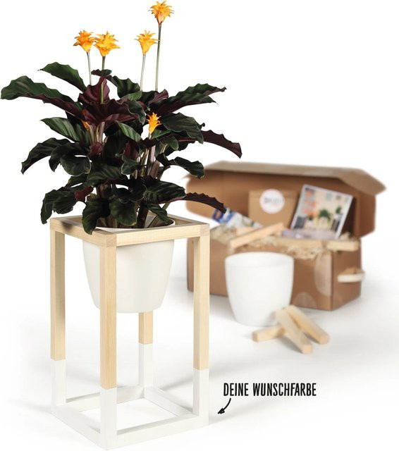 CREATE! by OBI DIY Pflanzständer Klein aus Holz - Bild 1