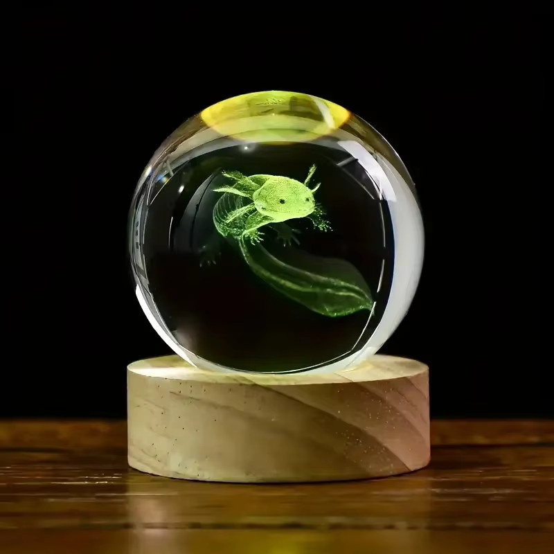 3D Salamander Kristallkugel mit Holzlampenhalter als transparentes Nachtlicht zur Schlafzimmerdekoration - Bild 2