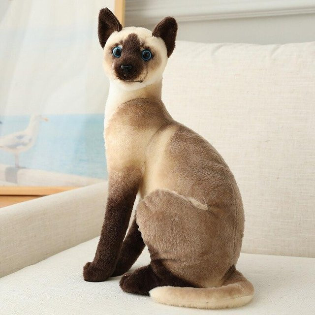 Bai Fen Bai Toys Siamkatzen-Plüschtier, amerikanische Kurzhaarkatze, bunt / mehrfarbig, braun - Bild 1