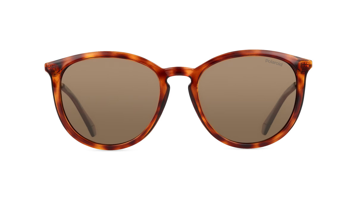 Polaroid PLD 4143/S/X Sonnenbrille, Vollrand, Panto, Kunststoff, Unisex, braun - Bild 1
