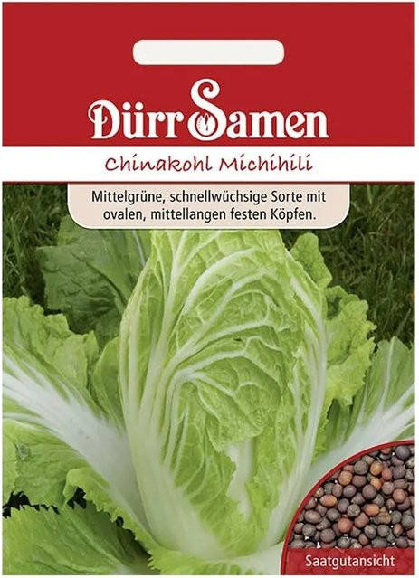 Dürr Chinakohl Michihili Saatgut - Bild 1