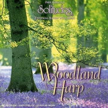 Solitudes von Gibson & Baer, CD - Bild 1