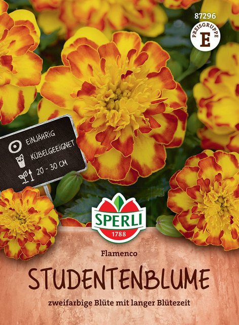 SPERLI Studentenblumen-Samen Flamenco bunt (Gelb, Rot, Mehrfarbig) - Bild 1