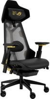 Asus ROG Destrier Edition 20 Gaming-Stuhl in Schwarz und Gold mit Kopfstütze und verstellbarer Höhe - Bild 1