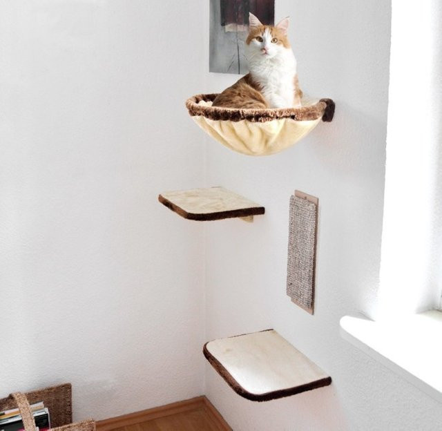 Silvio Design Katzen-Kletterwand 4-teilig aus Holz mit Sisal und Hängematte in Beige-Braun - Bild 2