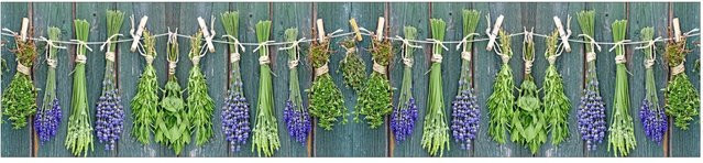 MySpotti Küchenrückwand Profix Cucina Kräuter Provence in Grün-Blau B: 270 cm, H: 60 cm - Bild 1