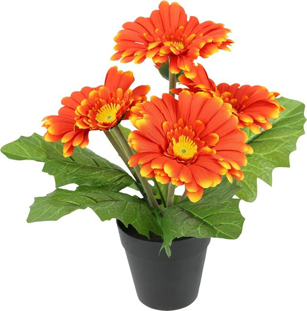 Moderne Kunstblume Gerbera im Topf von MODERNE HAUSFRAU in Orange und Schwarz - Bild 1