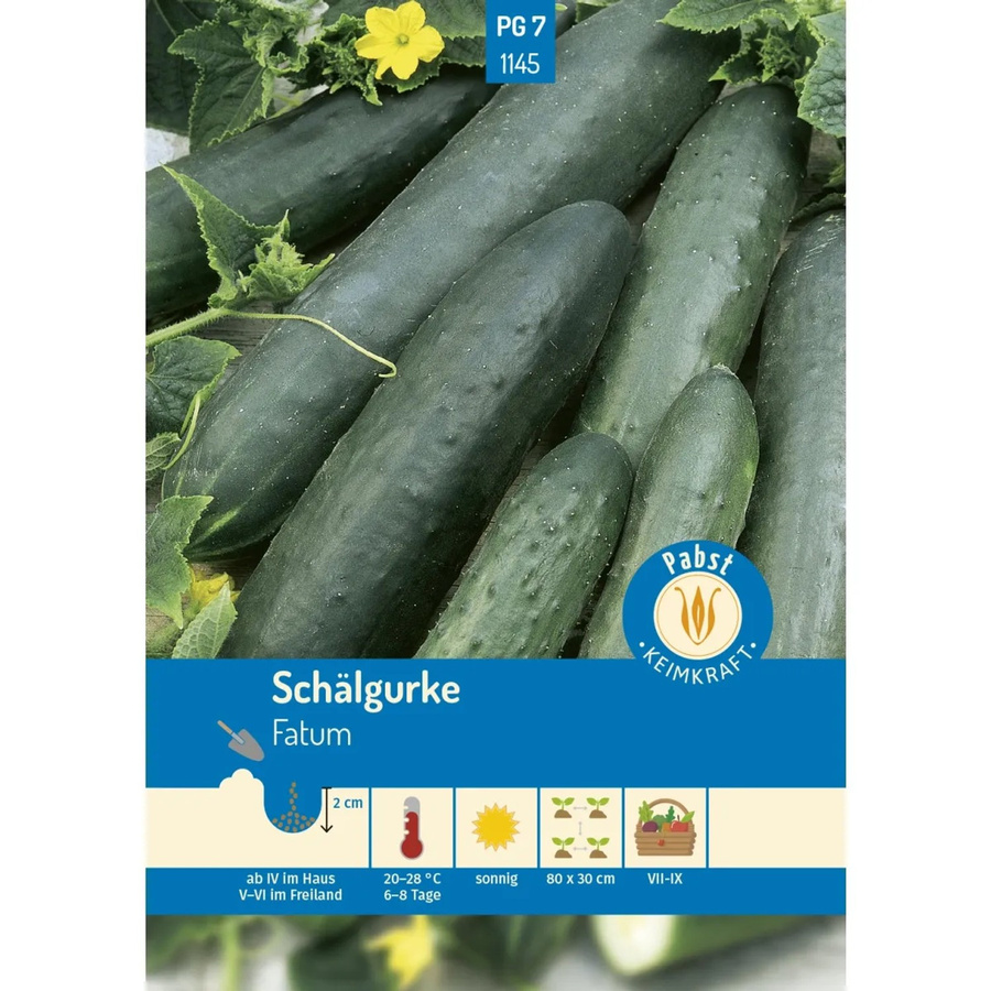 Pabst Keimkraft Schälgurke Fatum Saatgut Grün & Lang - Bild 2