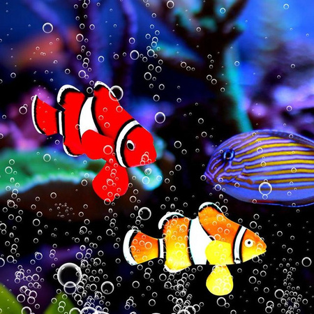 mfySpace Bionische Leuchtende Clownfische aus Silikon als Aquariendekoration in Rot